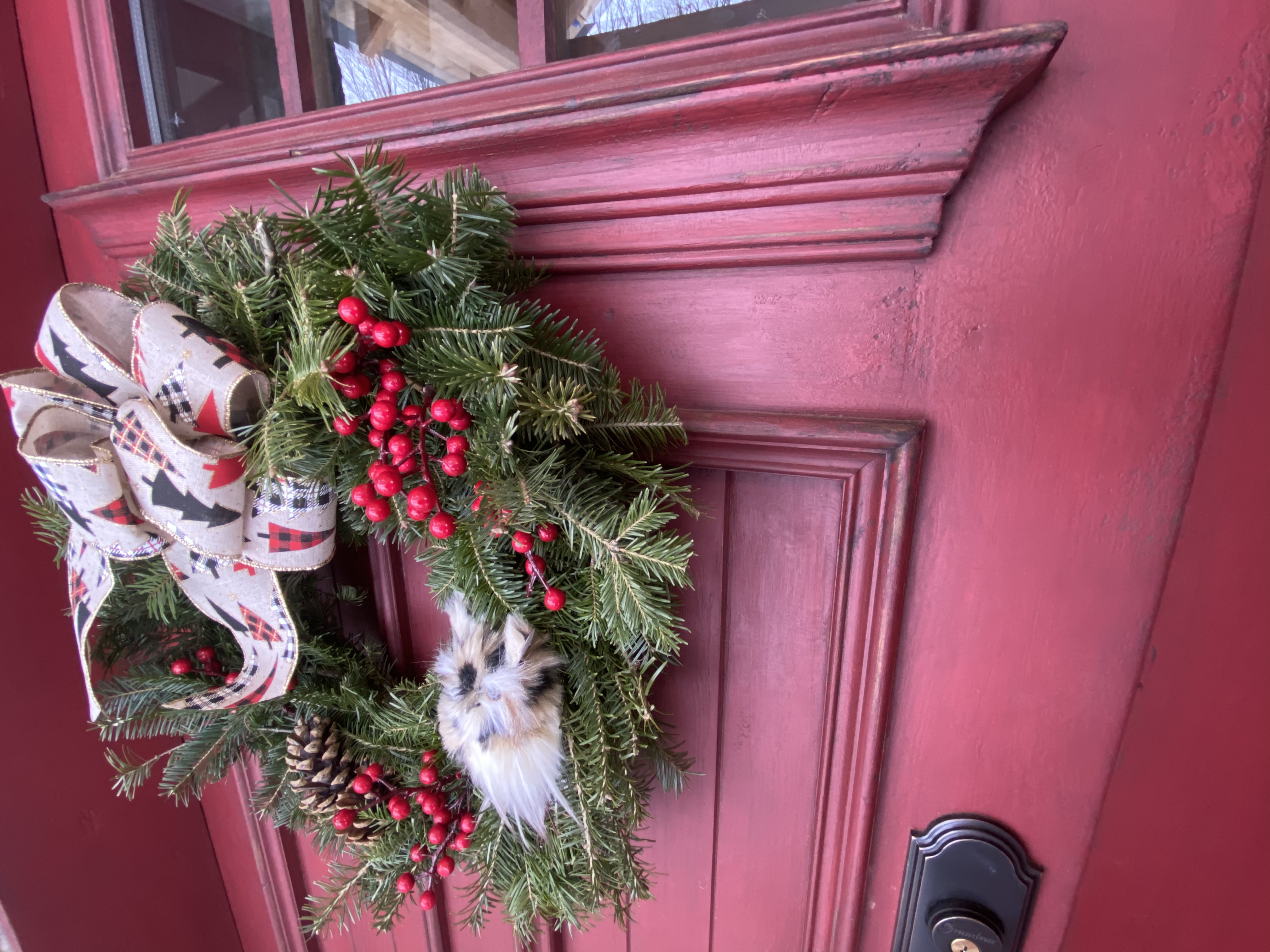 Portes rustiques pour une Timber Frame