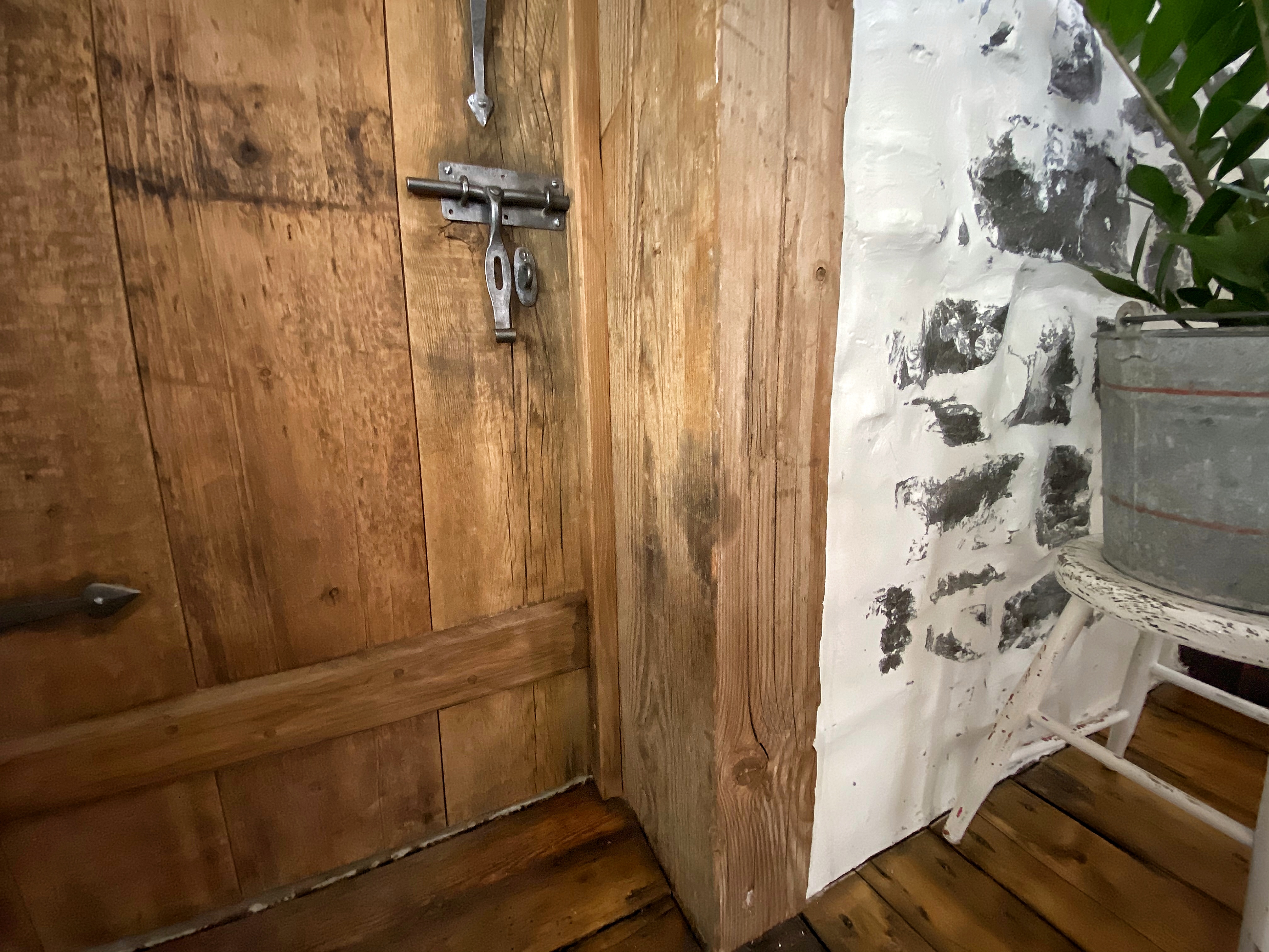 Coloration de portes, moulures et fenêtres.